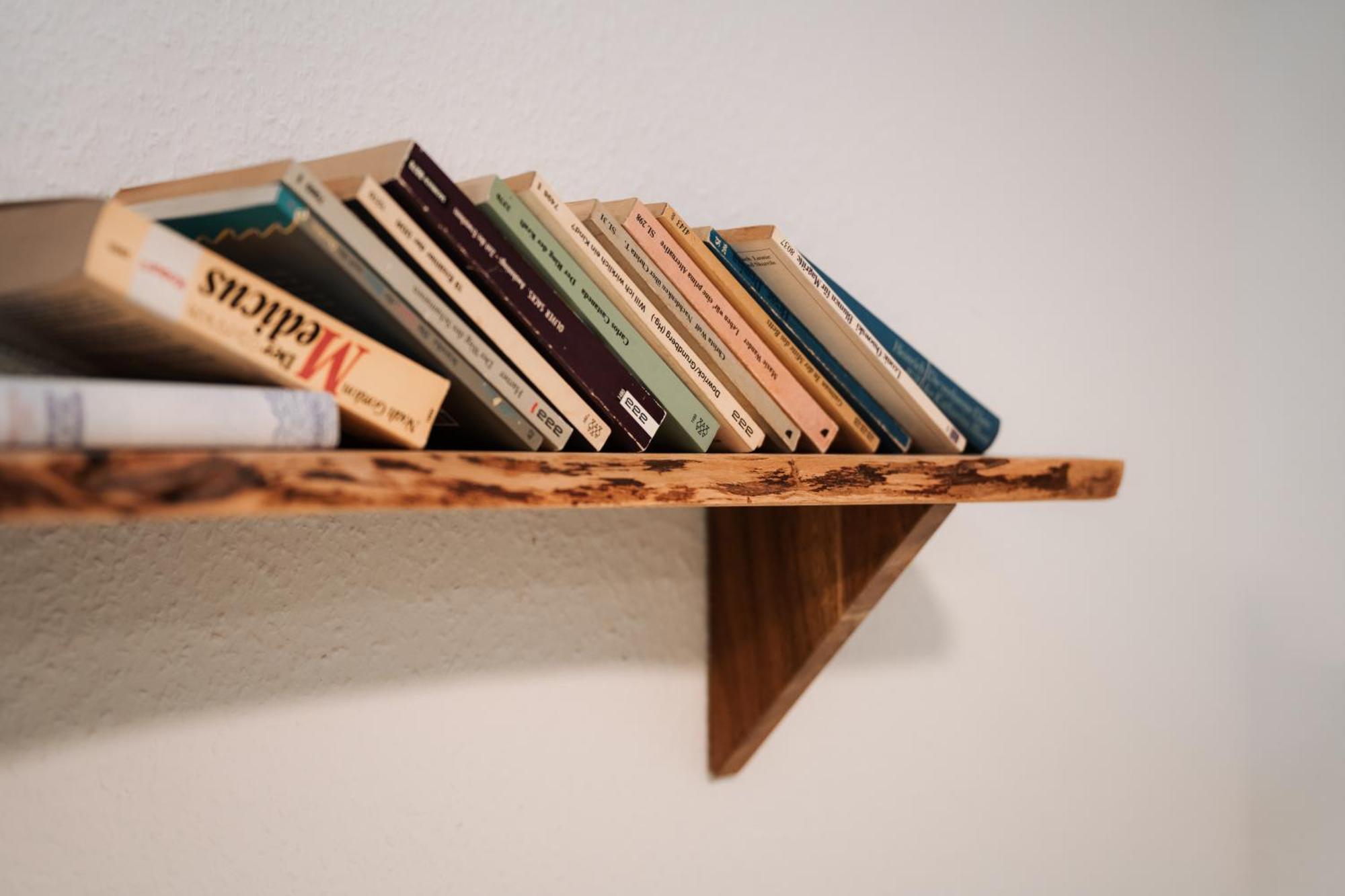 Hostel مانهايم المظهر الخارجي الصورة Books on a shelf